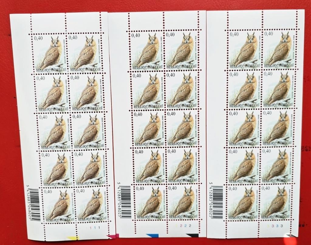 2007-Hibou MOYEN DUC-ANDRE BUZUB P-1-2-3-, Envoi