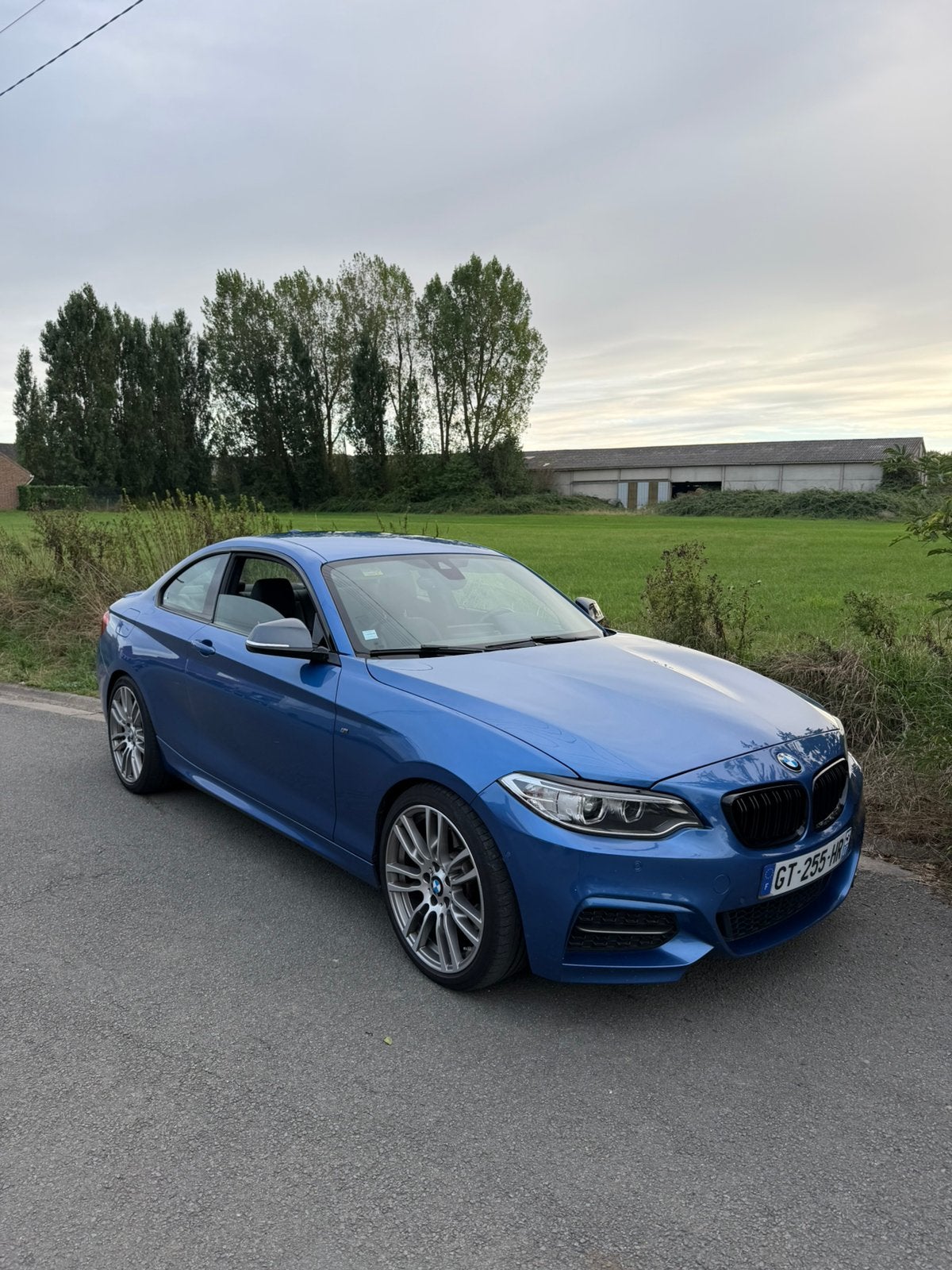 BMW M240 PROPULSION 2017 F22, Achat, Bleu, Sièges électriques, Particulier