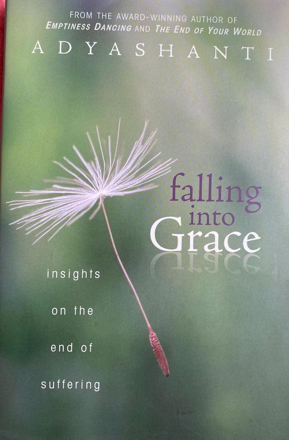 Adyashanti - Falling into grace. NIEUW, Enlèvement ou Envoi, Neuf