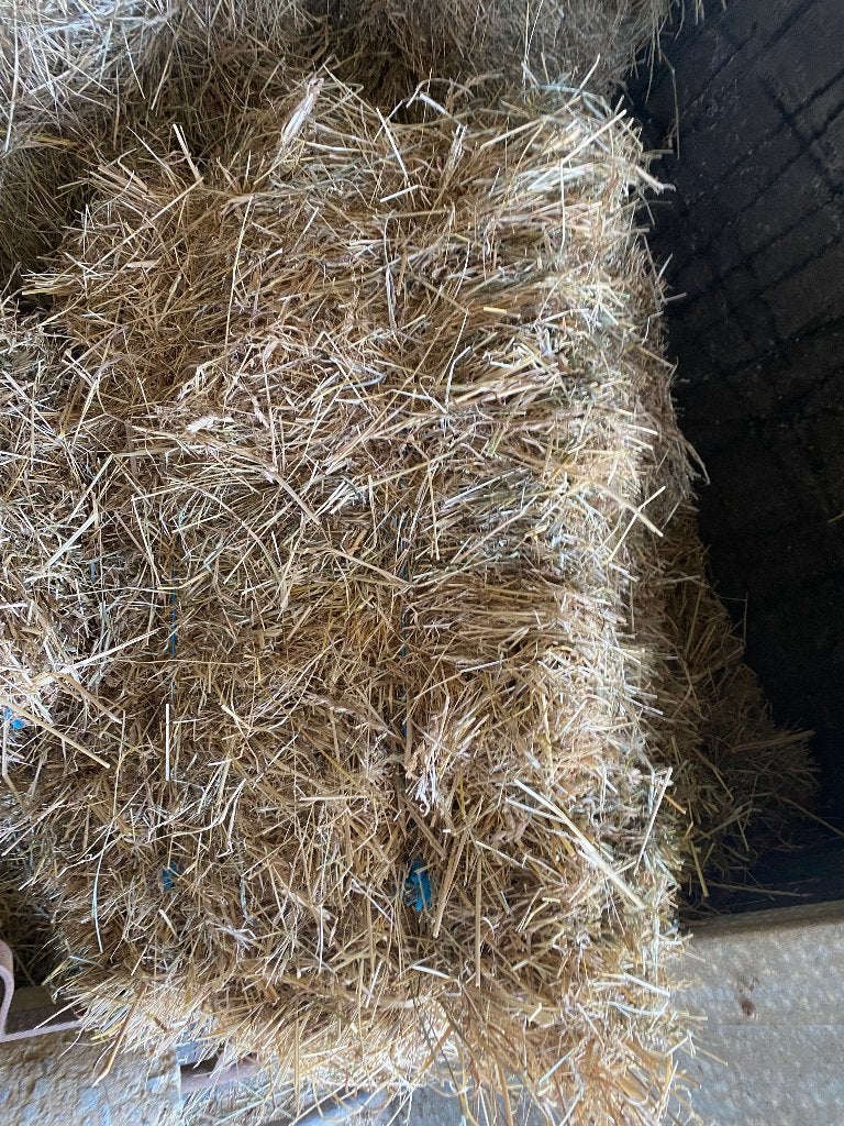 Kleine botten hooi te koop, Animaux & Accessoires, Nourriture pour Animaux, Enlèvement, Bétail