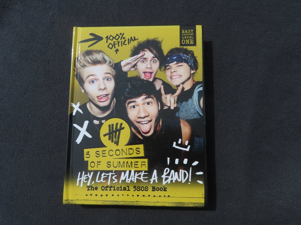 5 Seconds of Summer livre officiel 2014 musique Rock, Livres, Musique, Artiste, Enlèvement ou Envoi, 5 Seconds of Summer, Comme neuf