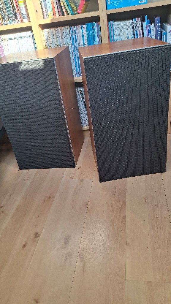 Leak sandwich 600, Audio, Tv en Foto, Ophalen, Gebruikt, Minder dan 60 watt