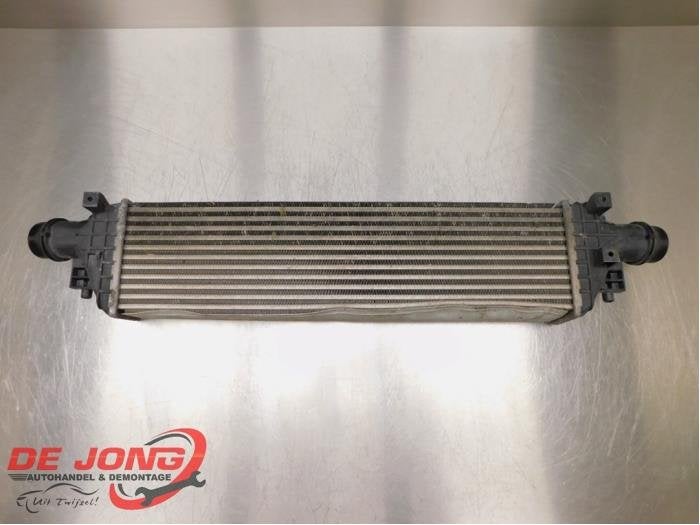 Intercooler d'un Opel Mokka, -, Opel, 3 mois de garantie, Utilisé