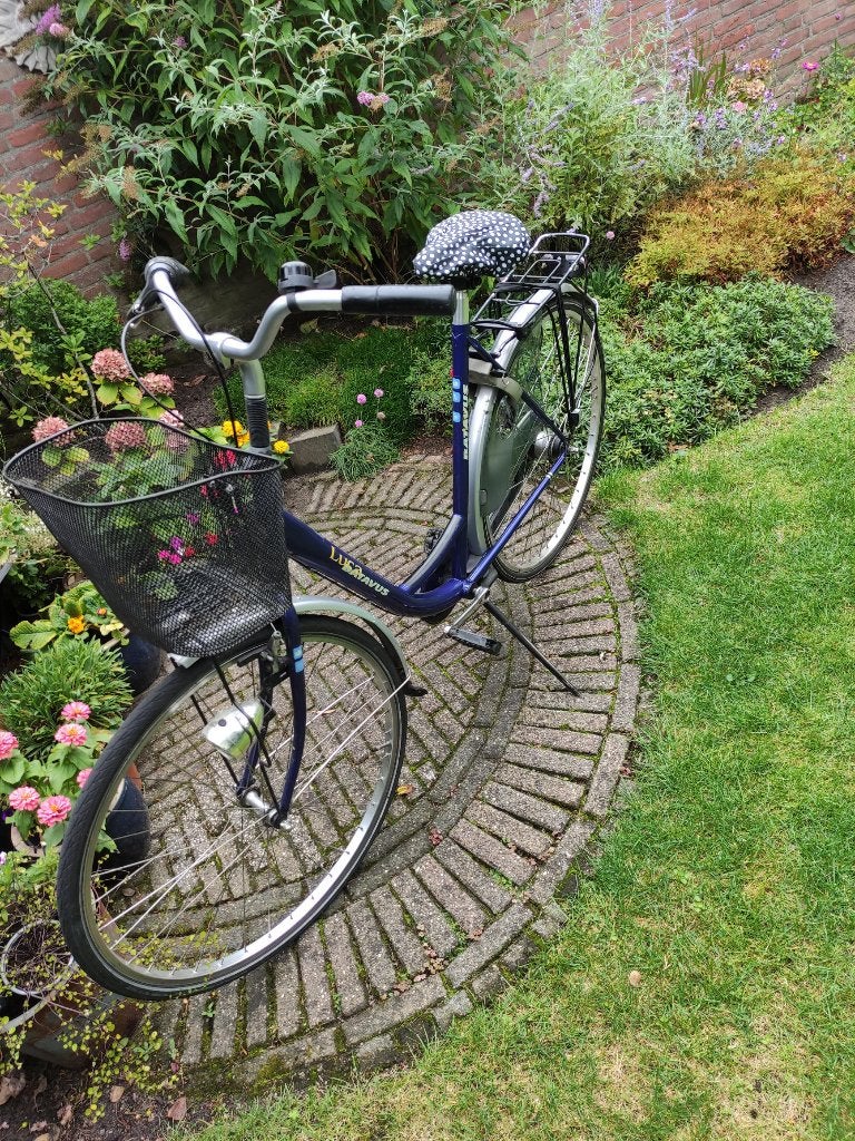 Damesfiets, Vitesses, Frein à rétropédalage, Batavus, 53 à 56 cm