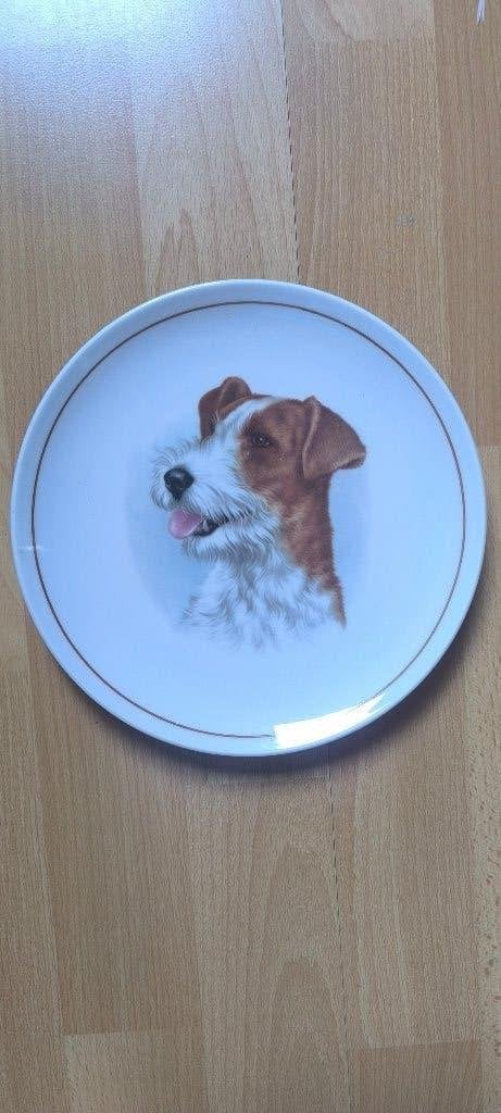 Jolie assiette avec la tête de chien 20 cm, Antiquités & Art, Enlèvement ou Envoi