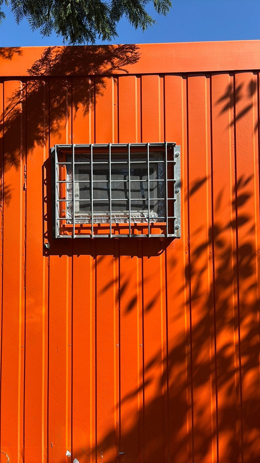 Roosters voor ramen, Enlèvement