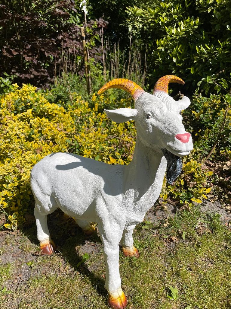 Beeld bok, Geit gele hoorns tuin, gazon, boerderij 65cm, Ophalen, Nieuw, Kunststof, Dierenbeeld