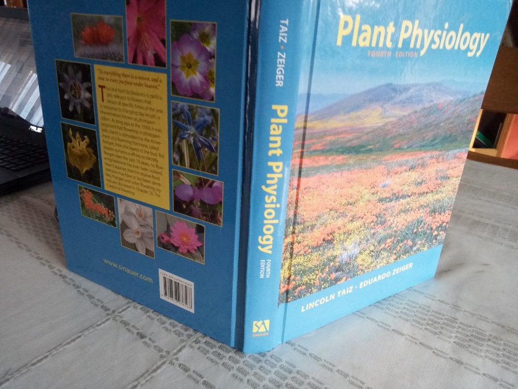 Plant physiology 4ième édition universitaire Lincoln, Livres, Enlèvement ou Envoi, Comme neuf, Autres niveaux, Biologie