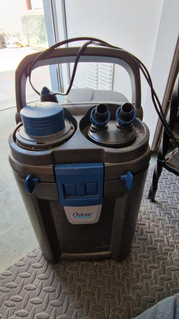 oase biomaster 250 met ingebouwde verwarming, Dieren en Toebehoren, Ophalen, Verwarming, Oase