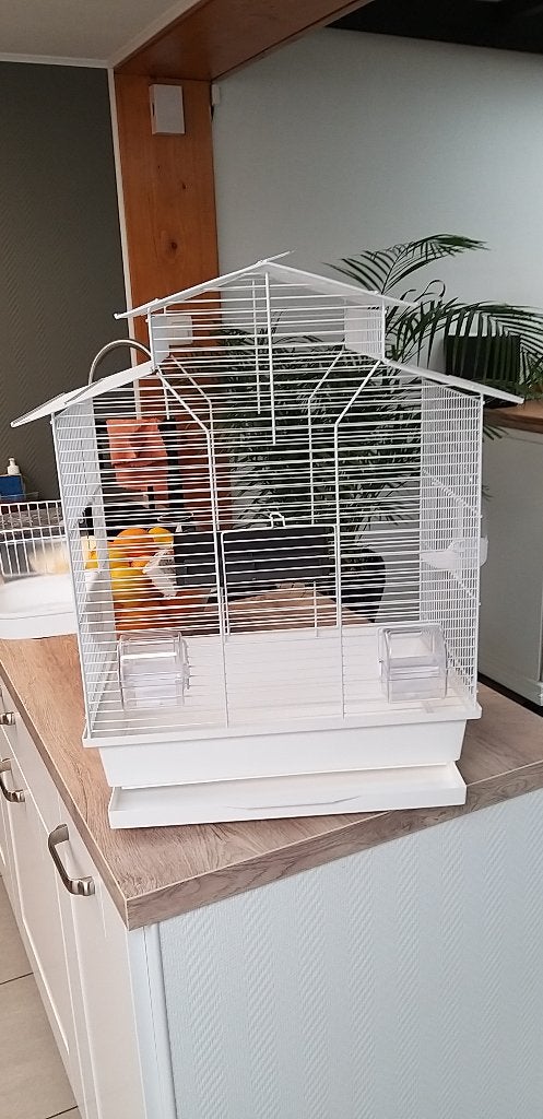 NIEUWE VOGELKOOI   WIT, Ophalen, Zo goed als nieuw, Metaal, Vogelkooi