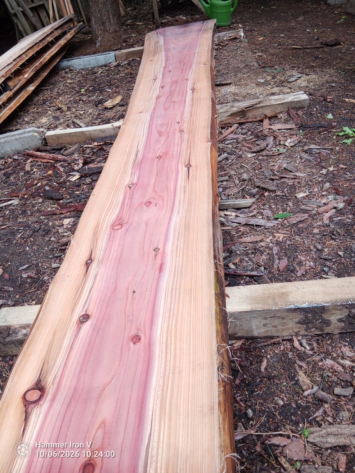 Unieke Sequoia boomstamplanken, Jardin & Terrasse, Enlèvement, Planches