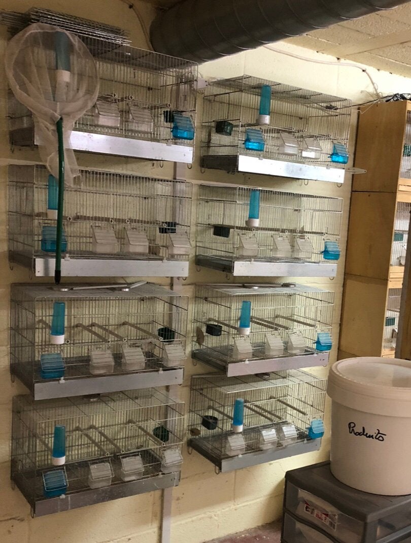 Vend cage cova 55cm, Animaux & Accessoires, Oiseaux | Cages & Volières, Comme neuf, Cage à oiseaux, Aluminium, Enlèvement