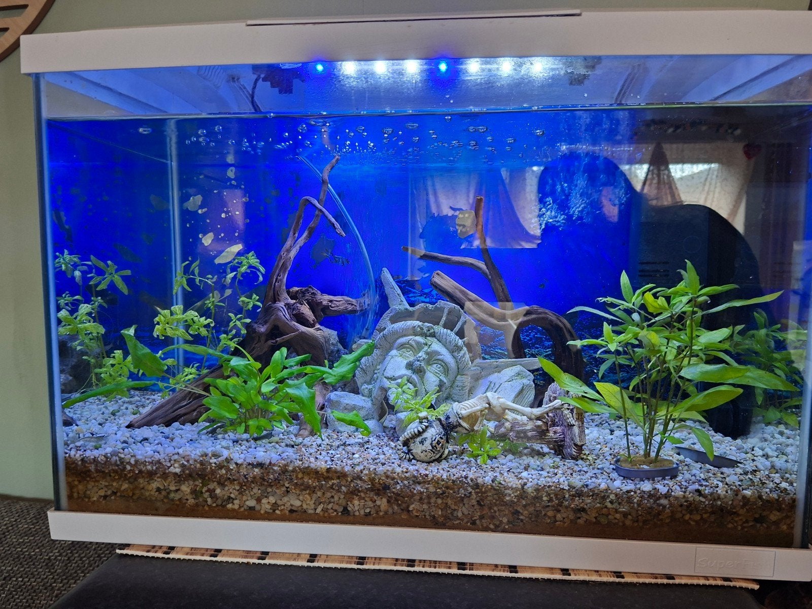 starter aquarium, Meuble d'aquarium, Enlèvement, Utilisé, Superfish