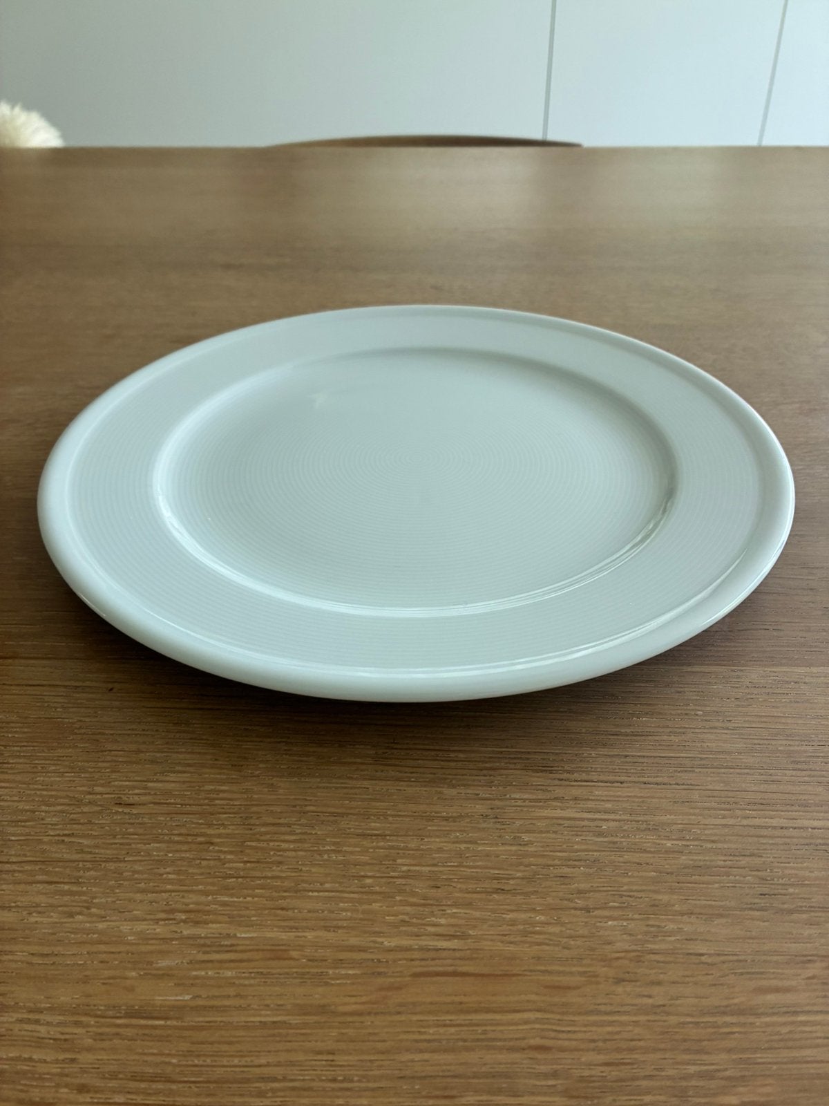 Thomas borden 31cm, Neuf, Assiettes(s), Enlèvement, Porcelaine