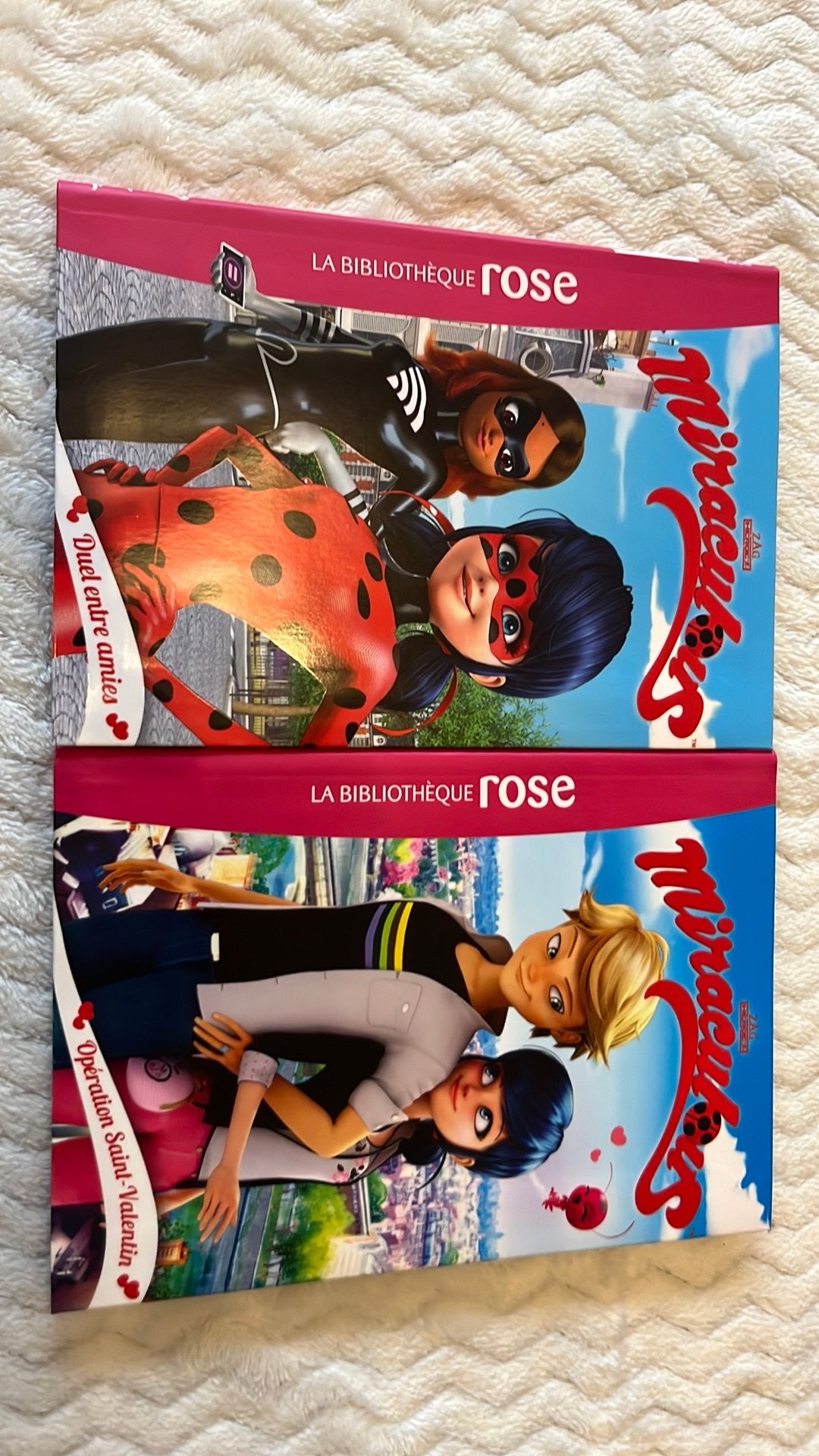 Lot de 2 livres, Enlèvement, Comme neuf