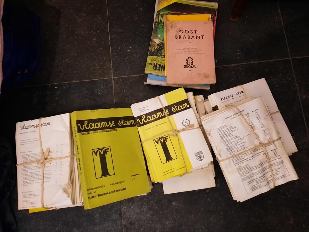 Vlaamse Stam, oudere volledige en onvolledige jaargangen, Enlèvement