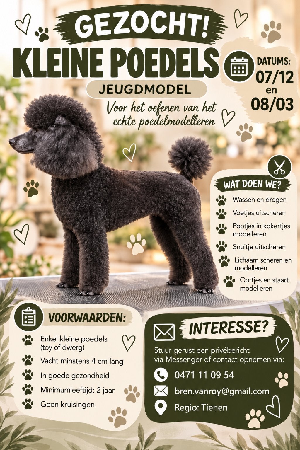Gratis Trimbeurt !, Dieren en Toebehoren, Januari, Meerdere dieren