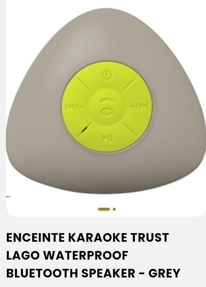 Enceinte bluetooth, Bluetooth