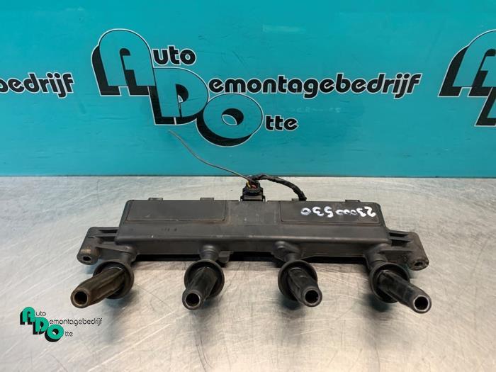 Bobine van een Peugeot 206 (206 98-), Auto-onderdelen, Motor en Toebehoren, Peugeot, Gebruikt, 3 maanden garantie, Ophalen of Verzenden