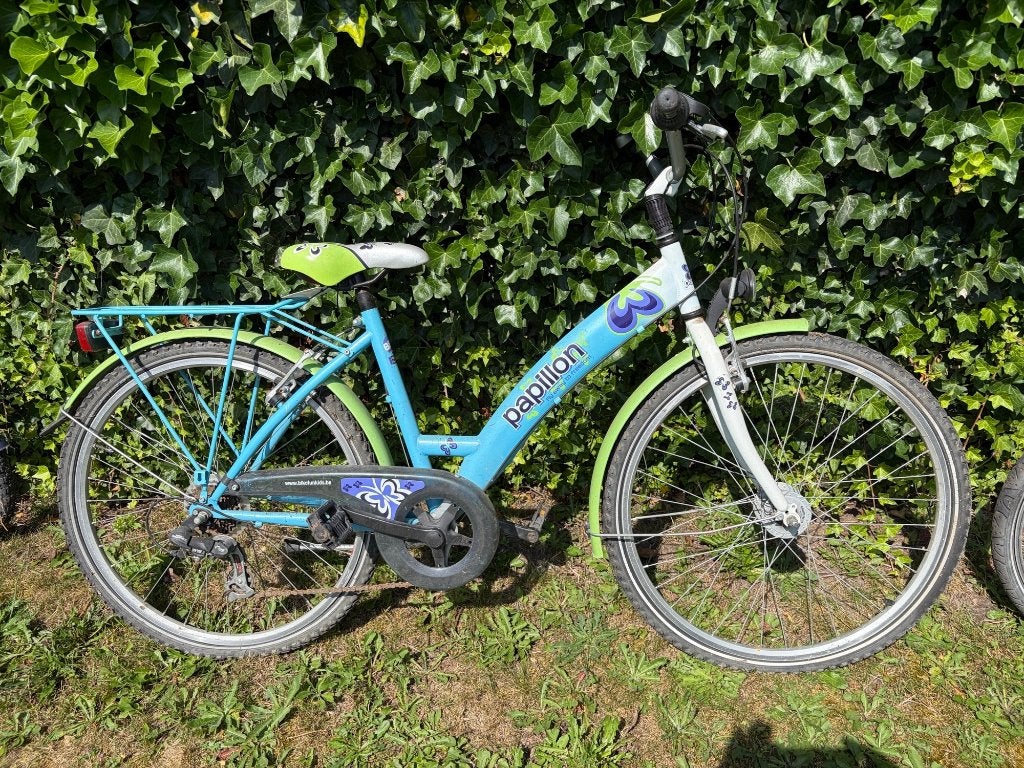 fiets, Gebruikt, Velgrem, Papillon, Versnellingen