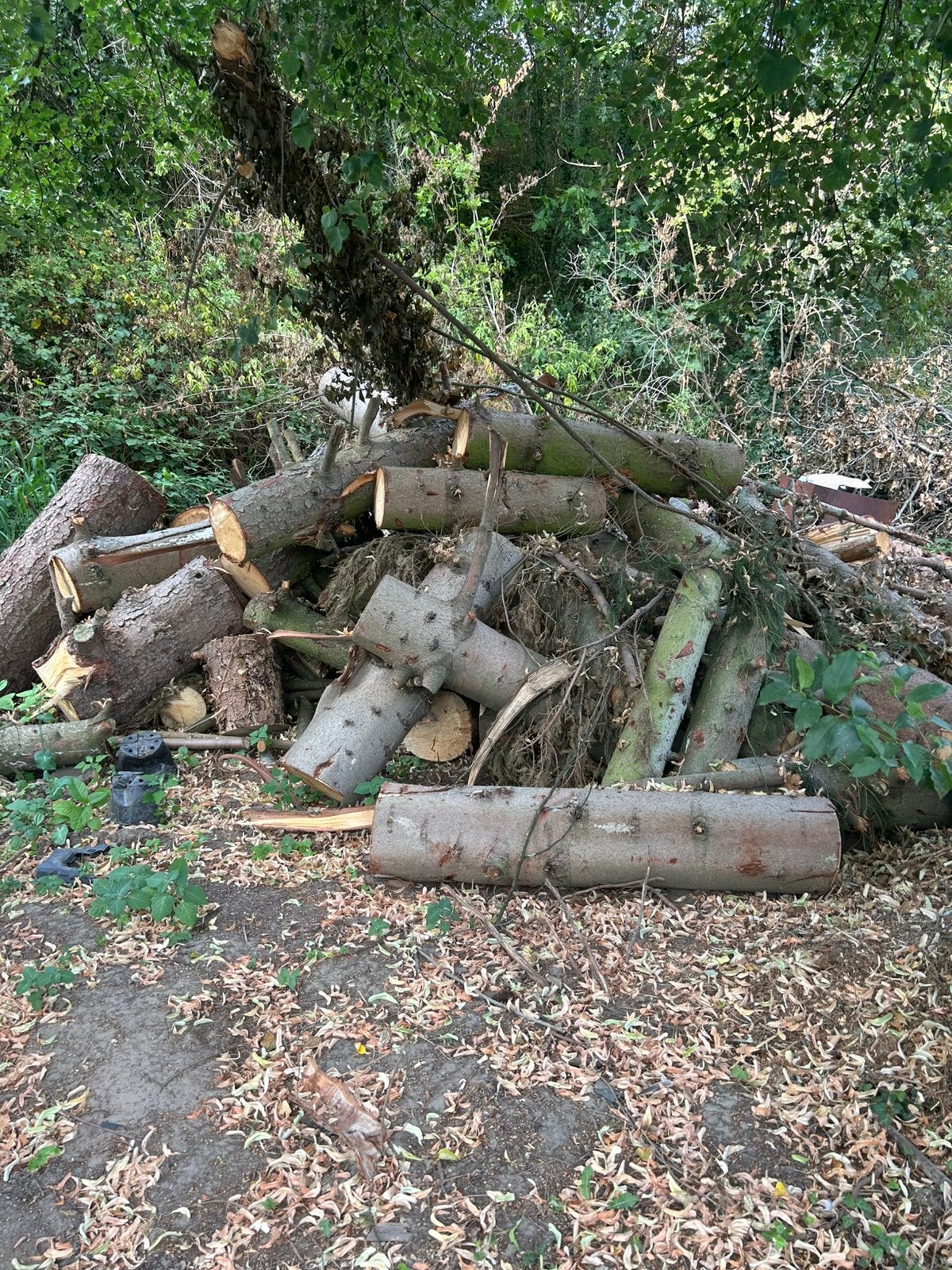 Brandhout, Tuin en Terras, Brandhout, Ophalen, Blokken
