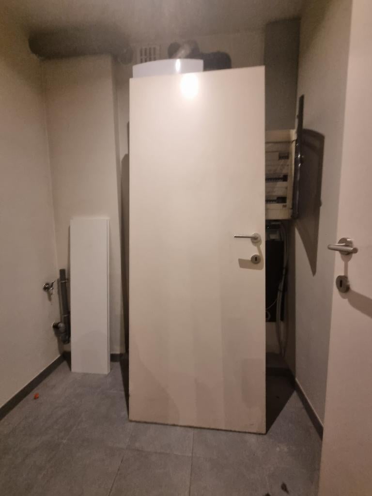 Schilderdeur met klink, Doe-het-zelf en Bouw, Deuren en Vliegenramen, Ophalen