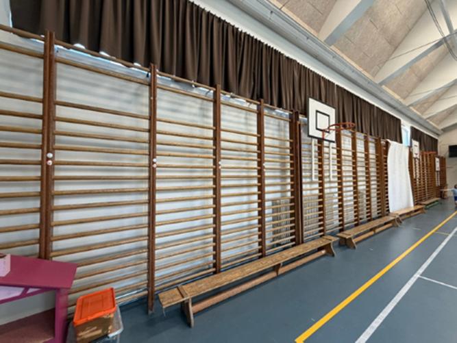 vintage sportraam/sportramen, Ophalen