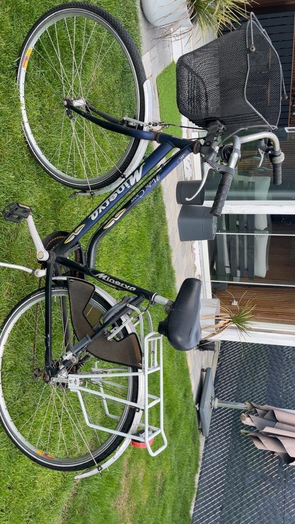 Damesfiets, Fietsen en Brommers, Ophalen, Gebruikt, Overige merken, Buggydrager
