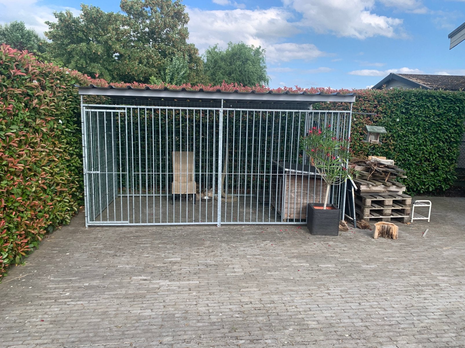 Hondenren 3x6m, Dieren en Toebehoren, Ophalen, Nieuw, 110 cm of meer, 100 cm of meer