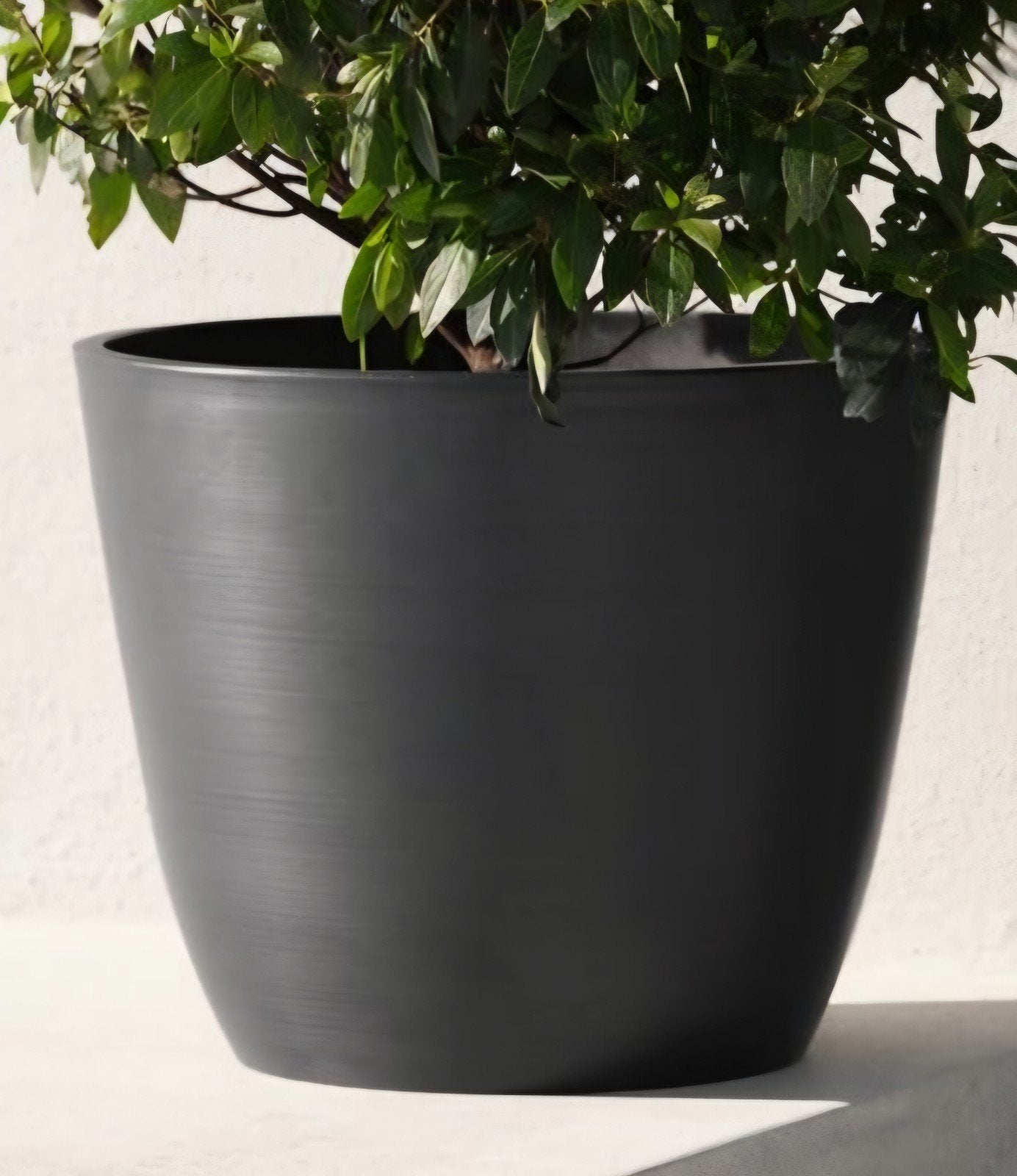 Bloempot Ø53xH41
Kunststof, grijs

6 stuks verkrijgbaar, Ophalen, Kunststof
