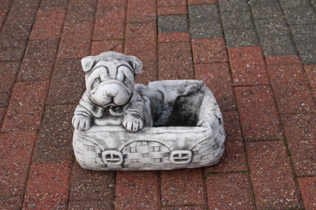 Sharpei-hond in stenen plantenbak, Tuin en Terras, Ophalen of Verzenden, Nieuw