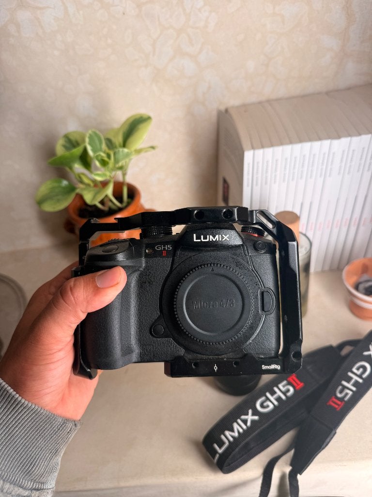 LUMIX GH5 II / 25mm 1.7, TV, Hi-fi & Vidéo, Autres marques, Appareil photo, Enlèvement, Utilisé