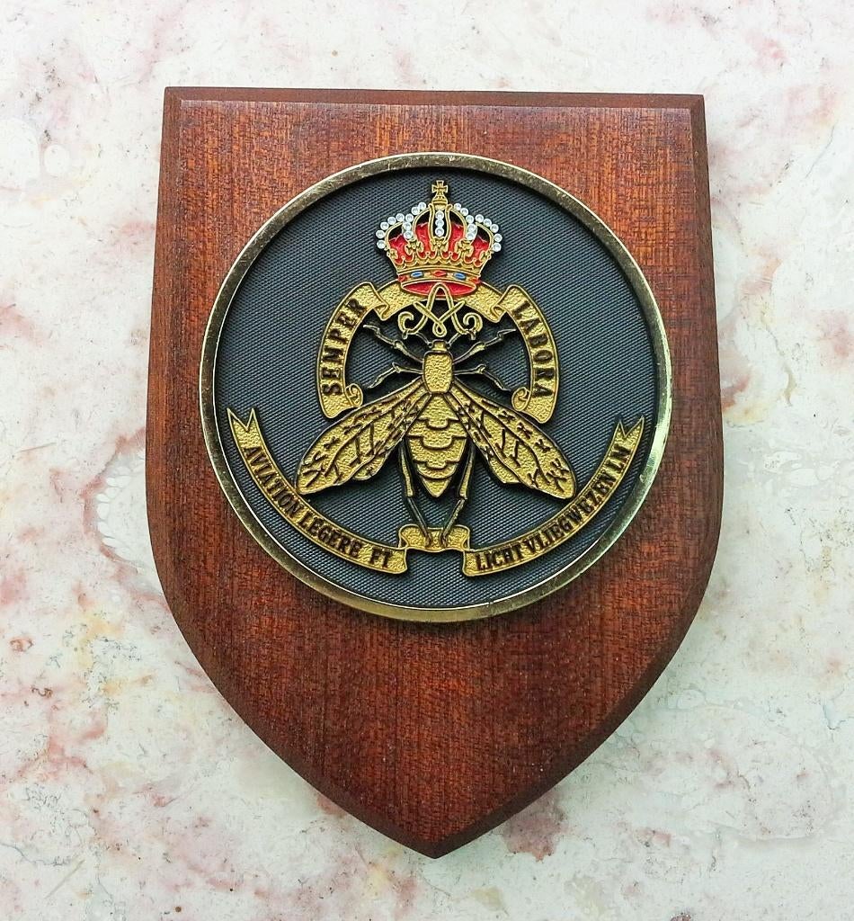 Wapenschild Licht Vliegwezen, Verzamelen, Ophalen of Verzenden, Gebruikt, Patch, Badge of Embleem
