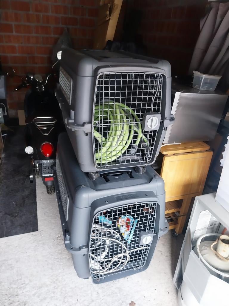 Honden bench te koop, Ophalen, Gebruikt