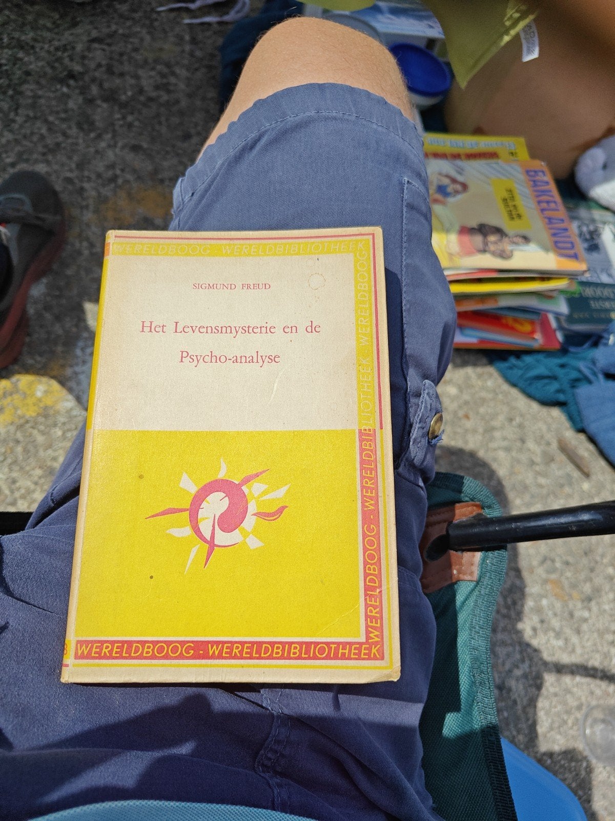 Sigmund Freud - Het levensmysterie en de psycho-analyse, Boeken, Ophalen of Verzenden, Zo goed als nieuw, Sigmund Freud