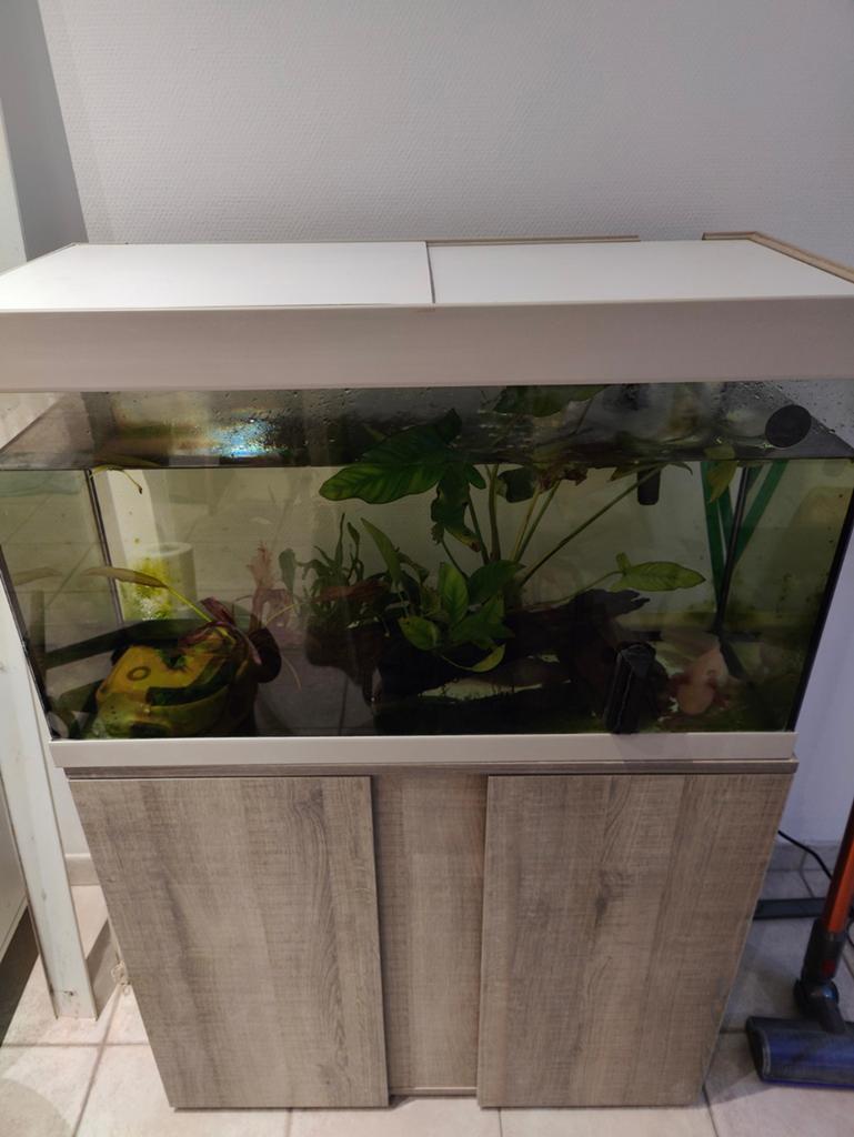 Eheim aquarium en axolotls, Dieren en Toebehoren