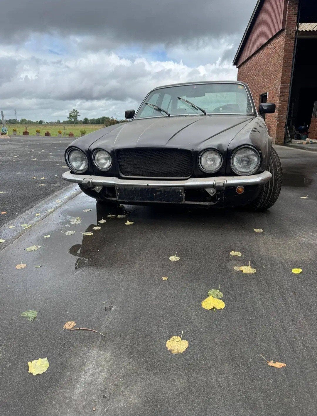 Jaguar xj5, Auto's, Bedrijf, Te koop