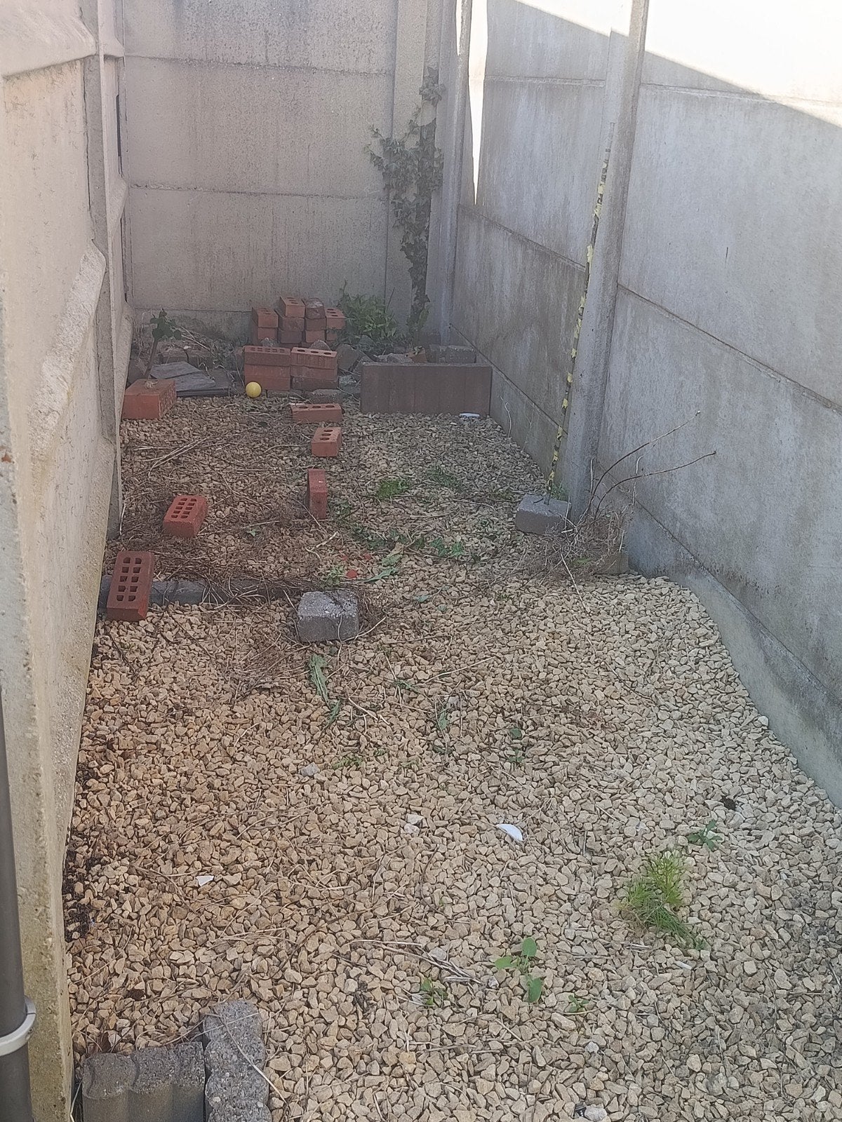 Gratis partij sierstenen / grind voor tuin of optit, Ophalen, Grind