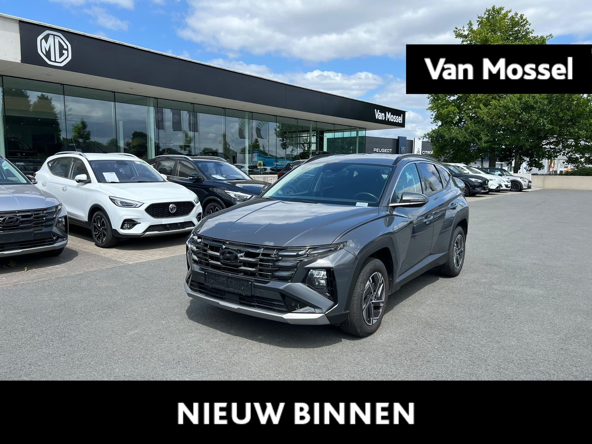 Hyundai Tucson 1.6 T-GDi Feel 7-DCT, Auto's, Gebruikt, 110 kW, 4 cilinders, 1600 cc