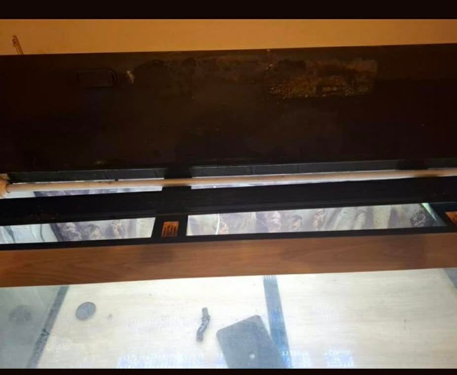 Aqurium 450 litre, Enlèvement ou Envoi, Pompe, Comme neuf, Aquarium vide