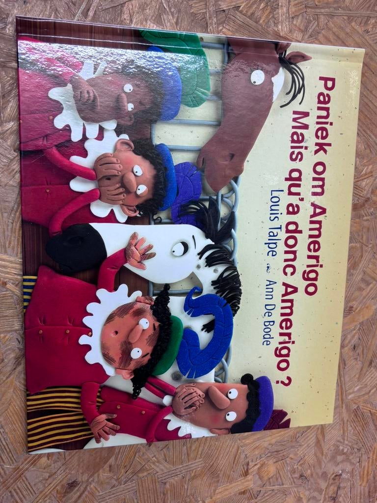 Boek - Sinterklaas - Paniek om Amerigo?, Ophalen of Verzenden, Zo goed als nieuw