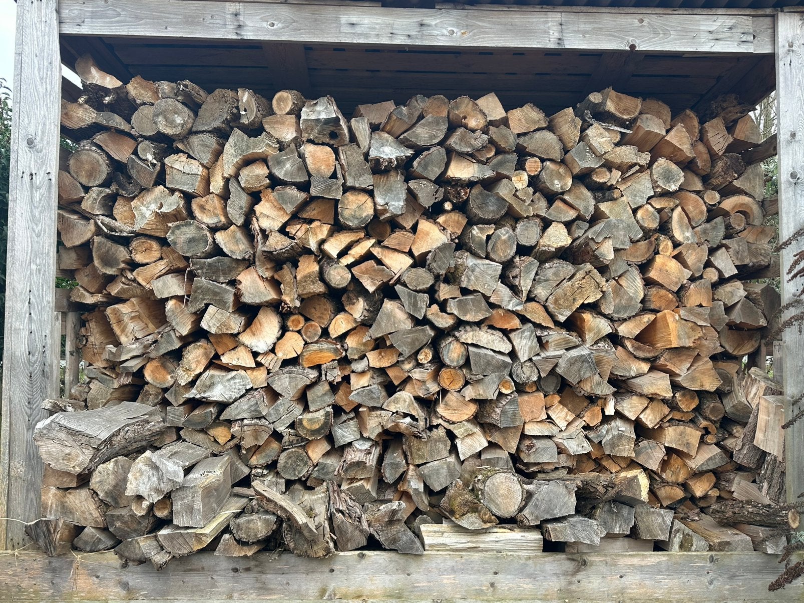 Brandhout, 6 m³ ou plus, Enlèvement, Chêne, Bûches