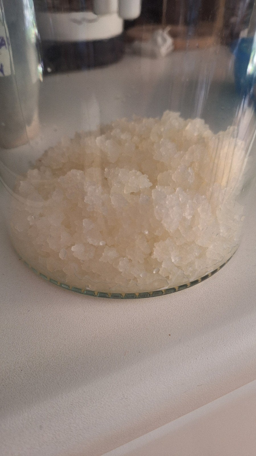 Waterkefir, Diversen, Levensmiddelen, Ophalen