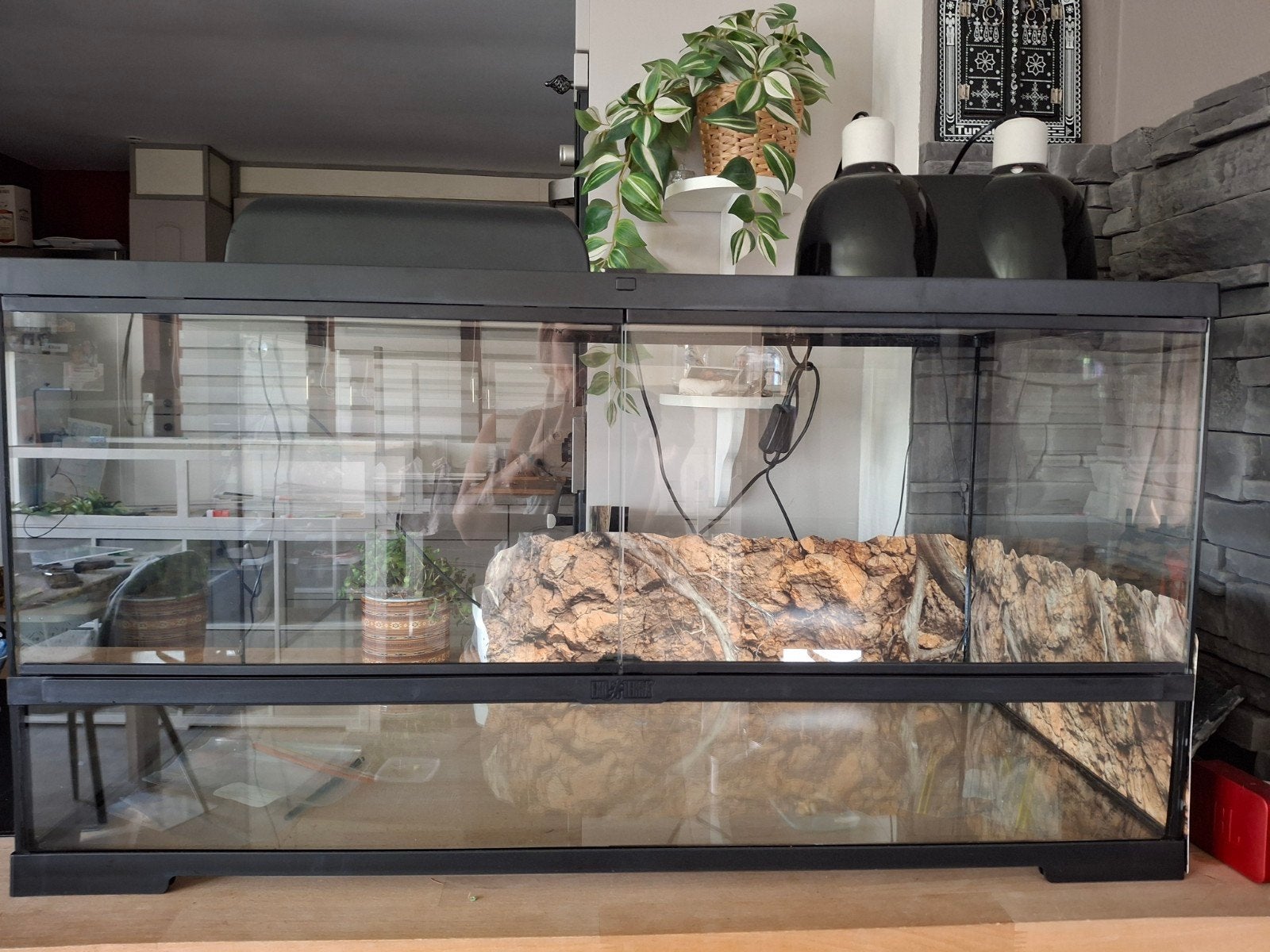 Pro Terrarium Exo TerraL.90 x l.45 x H.45 cm (pas de lampe), Enlèvement, Neuf