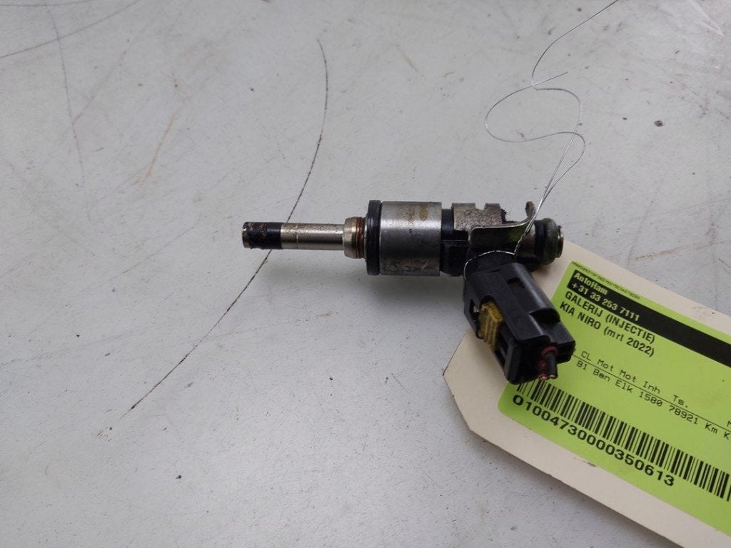 INJECTEUR Kia Niro I (DE) (01-2016/08-2022) (|3531003HC0|), Kia, Info@kia.de, Utilisé, Theodor-Heuss-Allee 11
60486  Frankfurt am Main, DE