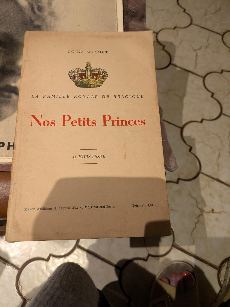 Nos petits princes, Verzamelen, Koningshuis en Royalty, Ophalen of Verzenden, Zo goed als nieuw, Tijdschrift of Boek