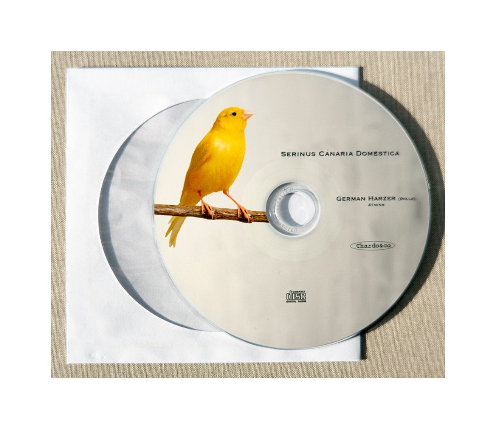 Canari Harzer, Animaux & Accessoires, Canari chanteur