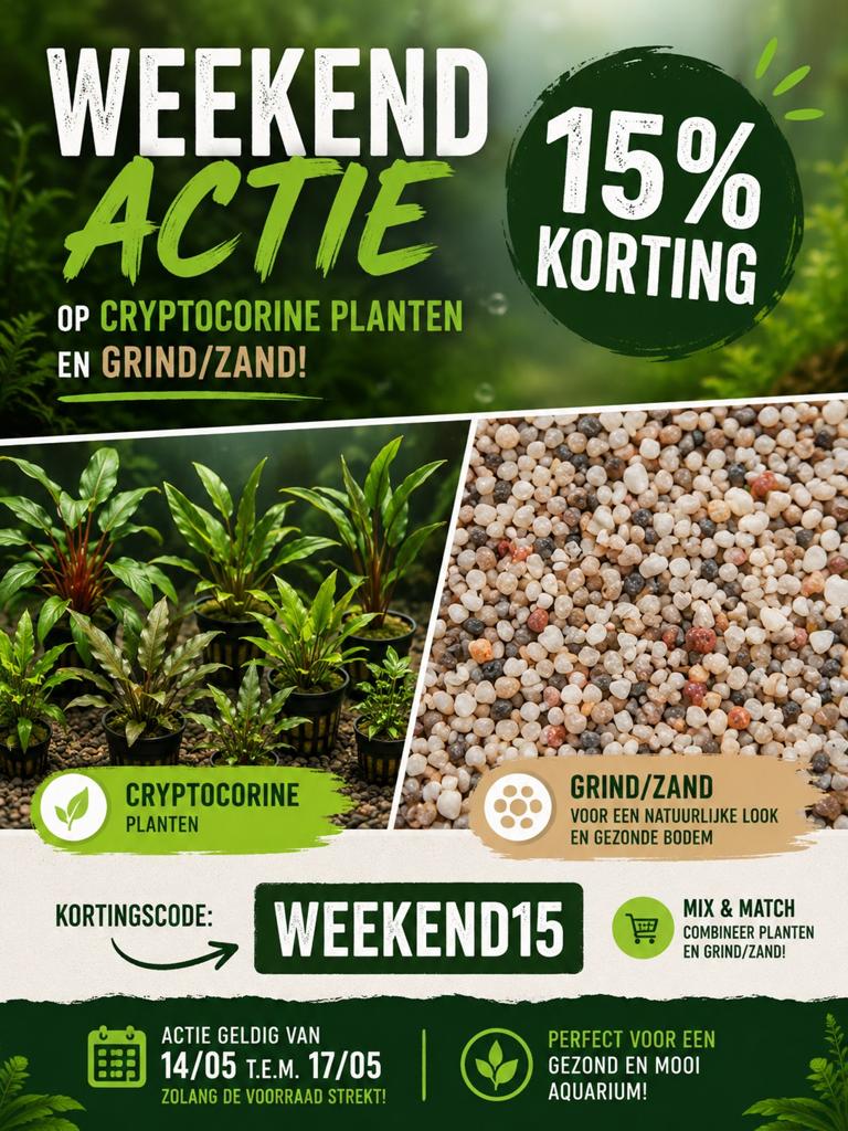 Weekendactie aquariumplanten en grind/zand, Dieren en Toebehoren