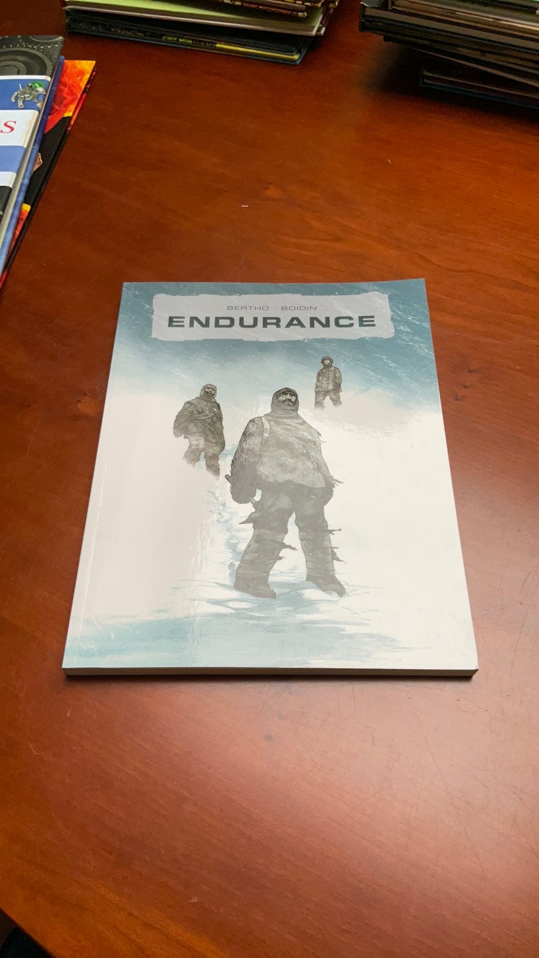 Bertho-Boisin, Endurance, Livres, Enlèvement ou Envoi, Neuf
