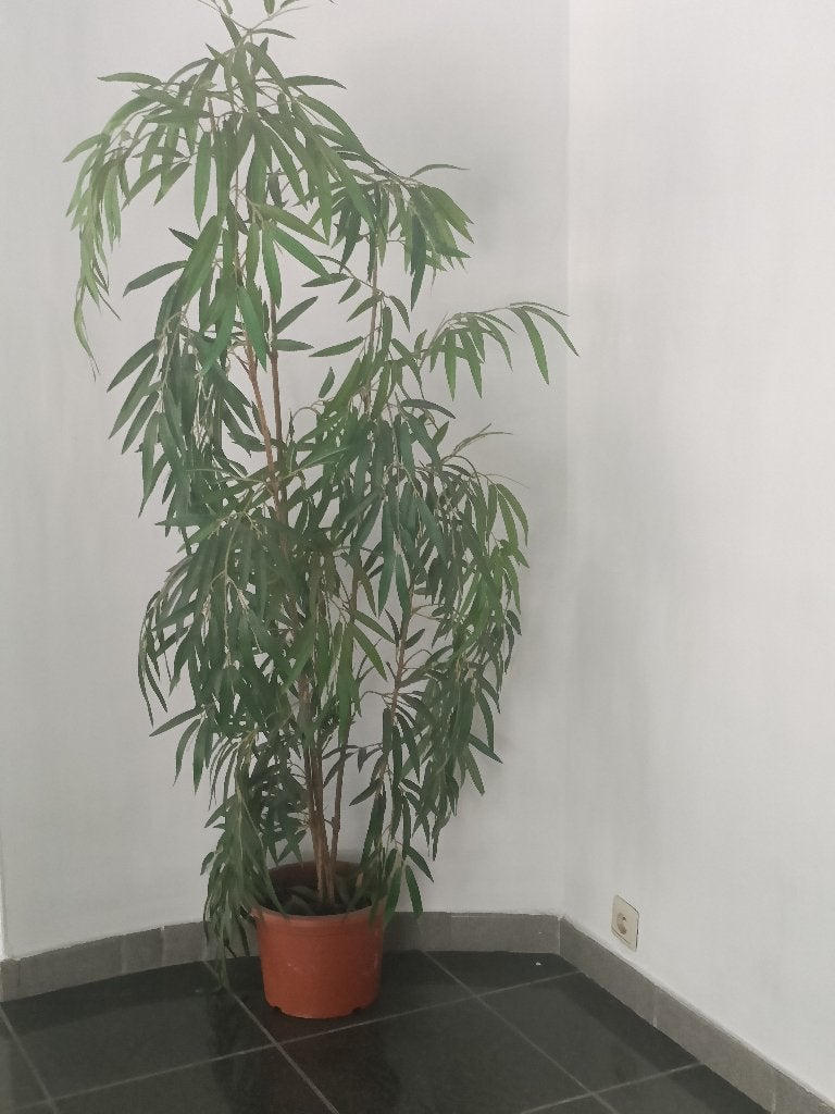 plantes artificielles en pot : lot 2 pièces, Vert, Intérieur, Plante artificielle, Autres marques